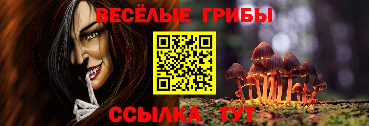 Псилоцибиновые грибы GOLDEN TEACHER  Вход с VPN  Заводоуковск  Галлюциногенные грибы прущие грибы 